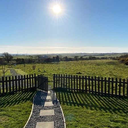 Willow Glamping Hut With Hot Tub, Ensuite, Bbq, Firepit, Views, Fenced Garden, Dog Friendly, Alpacas On Site On Anglesey, North Wales Amlwch Esterno foto