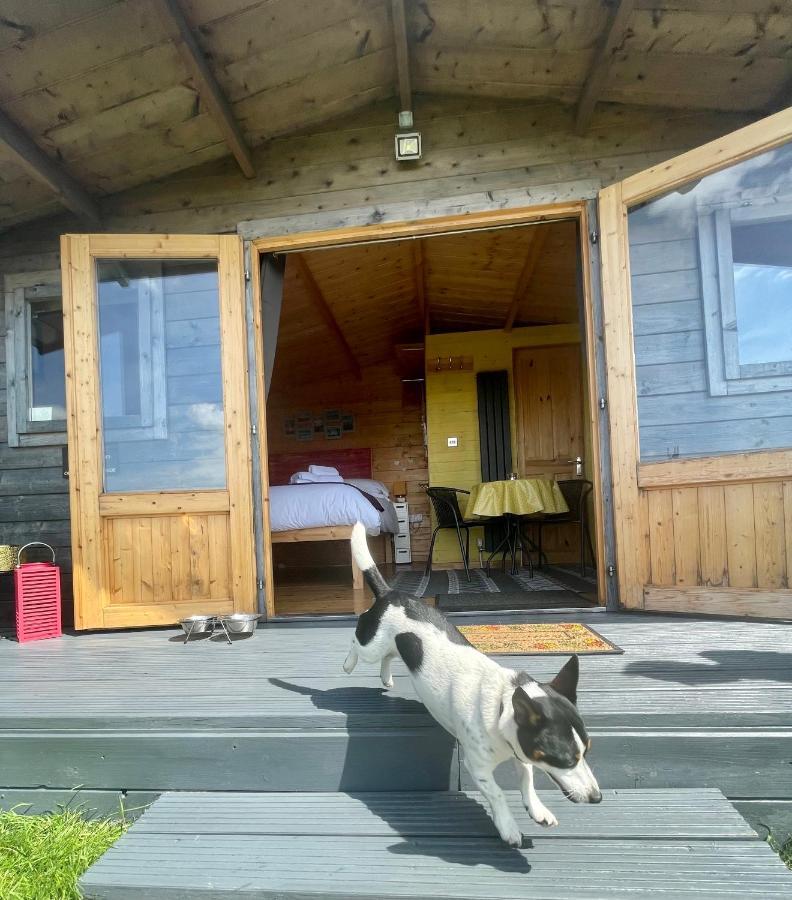 Willow Glamping Hut With Hot Tub, Ensuite, Bbq, Firepit, Views, Fenced Garden, Dog Friendly, Alpacas On Site On Anglesey, North Wales Amlwch Esterno foto